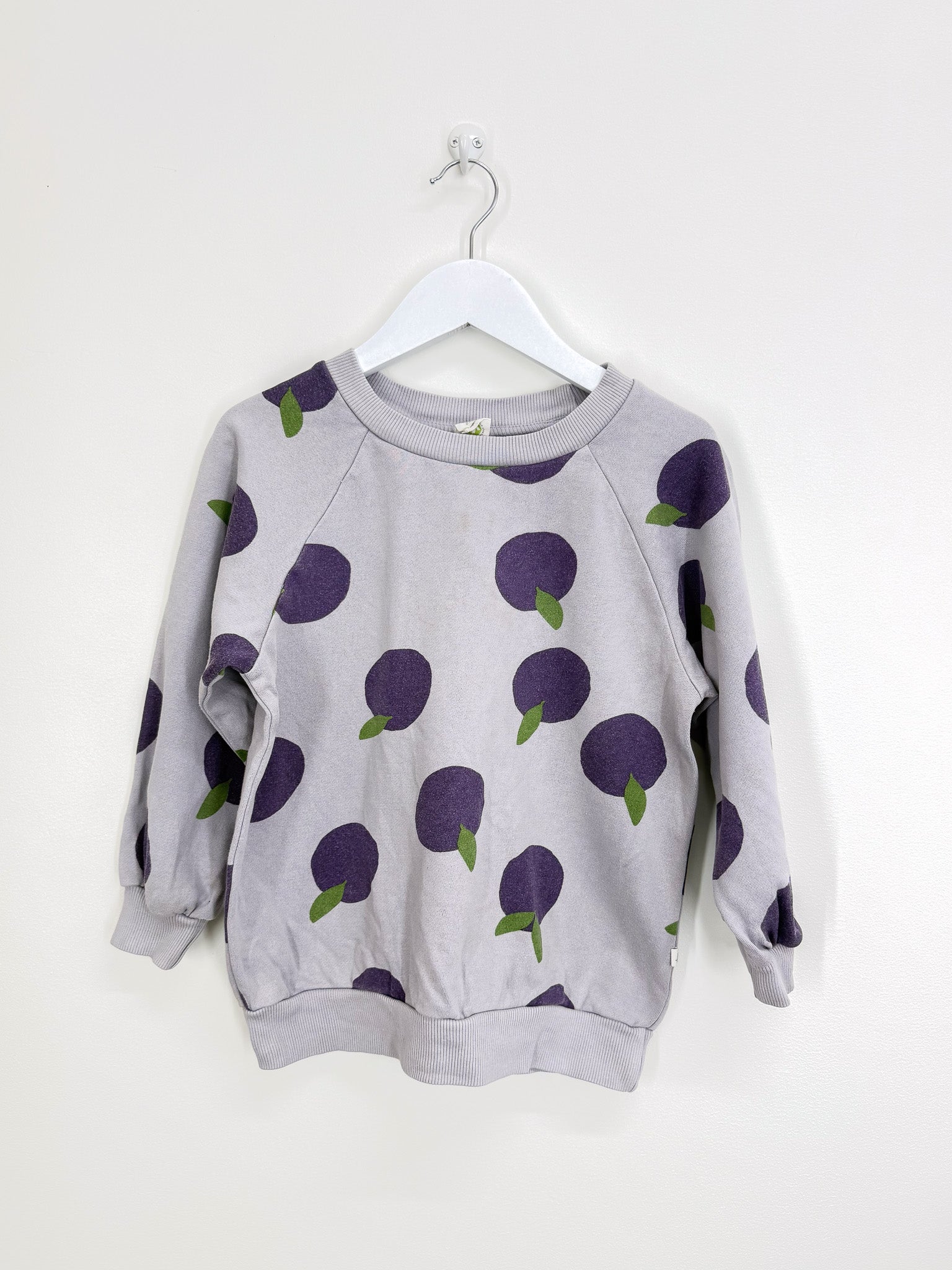 Nature Baby organic emerson sweatshirt - grande plum (5y)