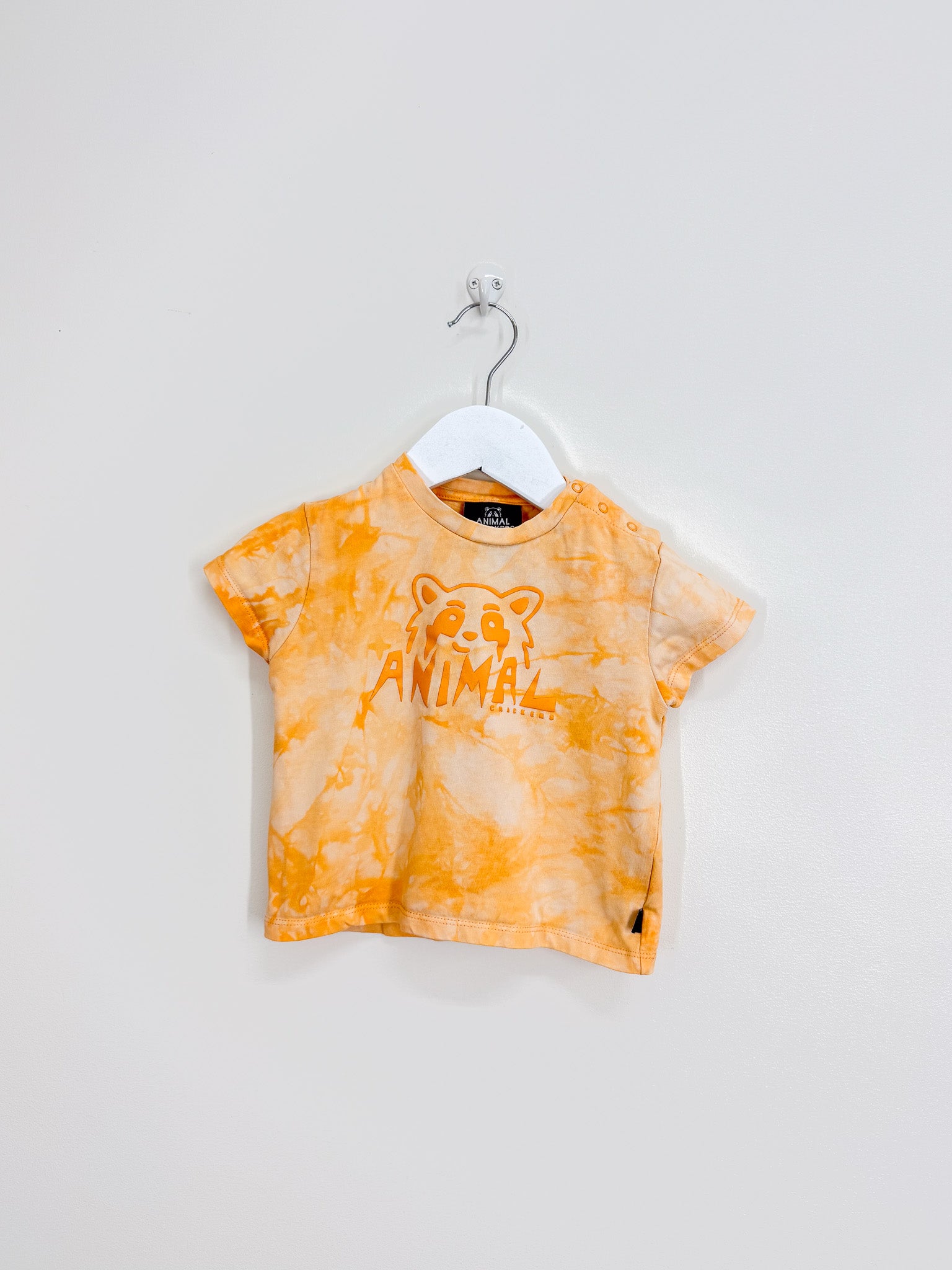 Animal Crackers tie dye tee (12-18m)