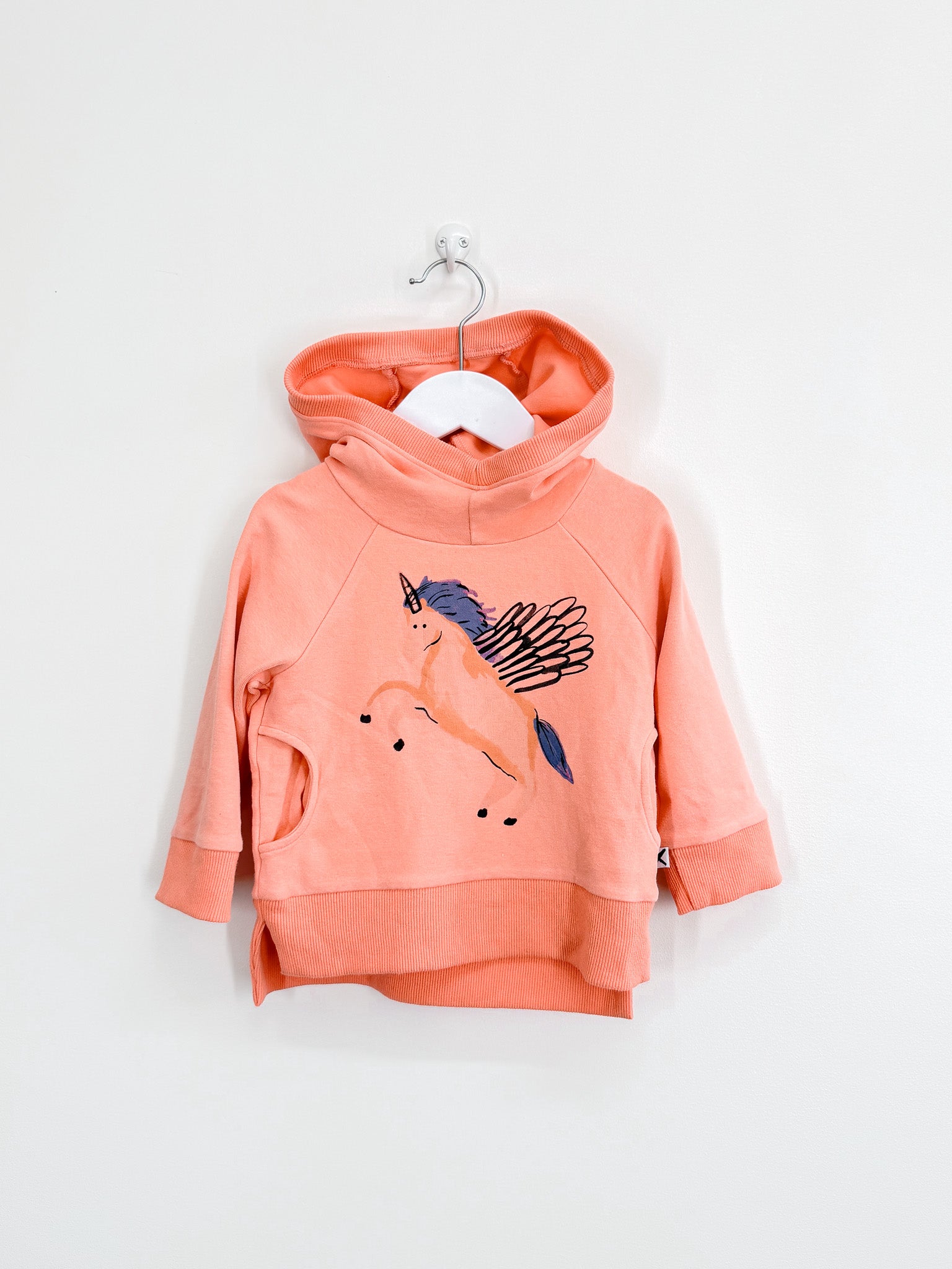 Minti painted pegasus hoodie (2y)