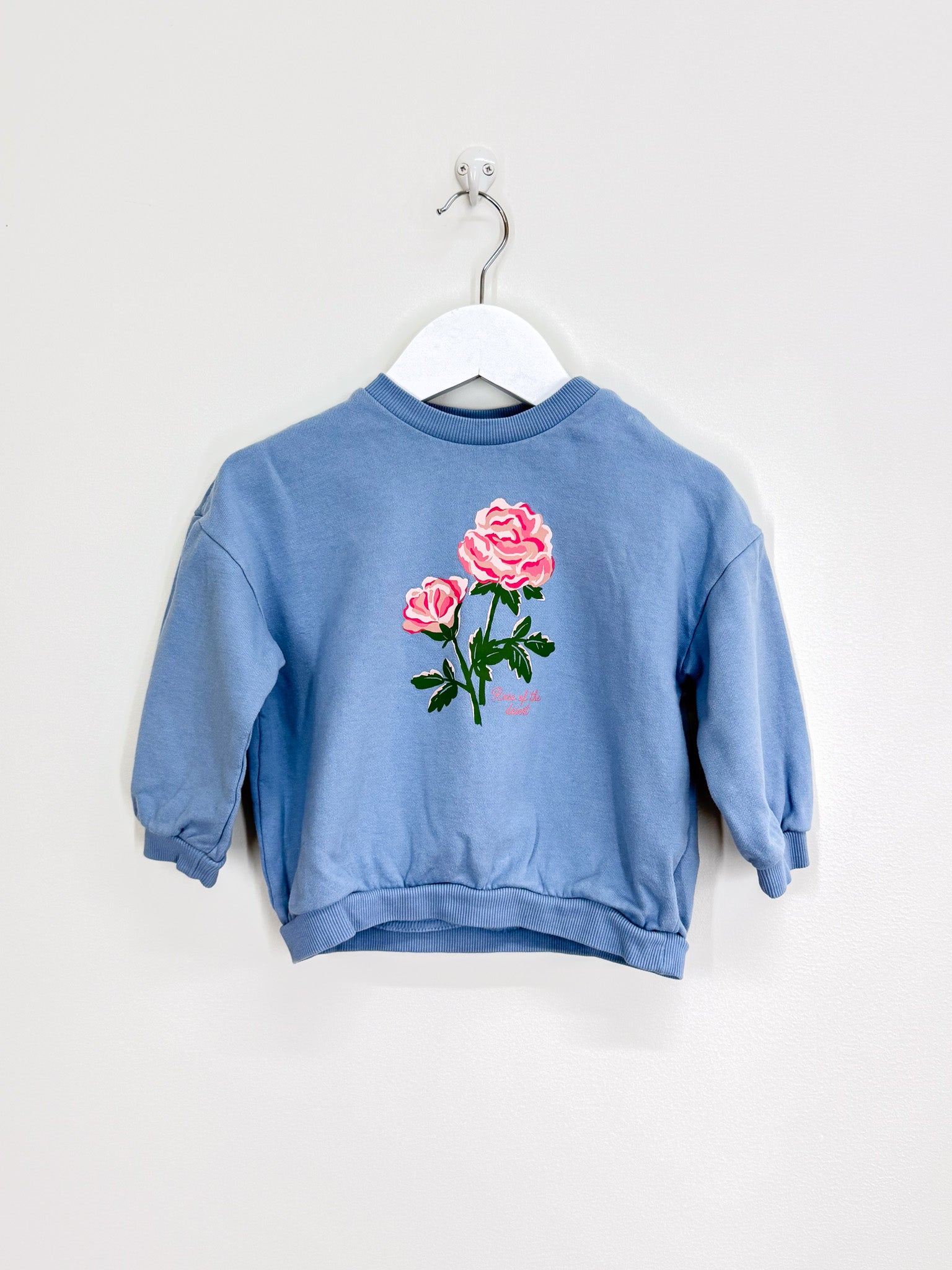 H&M roses sweatshirt (12-18m)