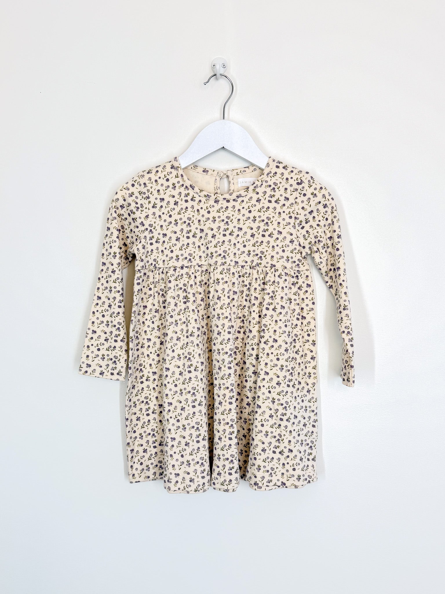 BNWOT Jamie Kay organic pixie dress - blueberry field raindrops (3y)