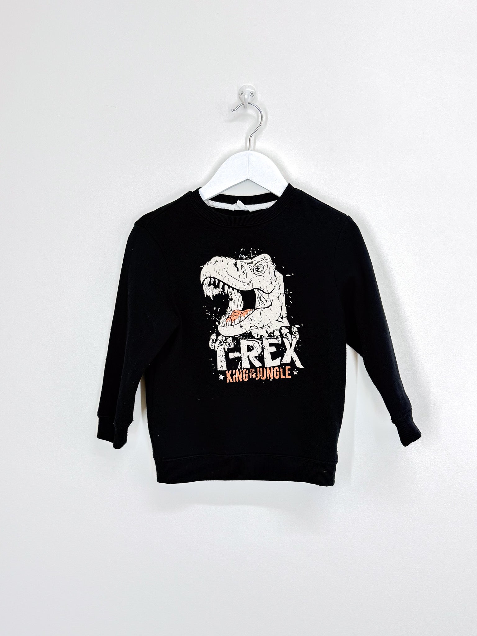 Mac & Ellie t-rex crew sweatshirt (4y)