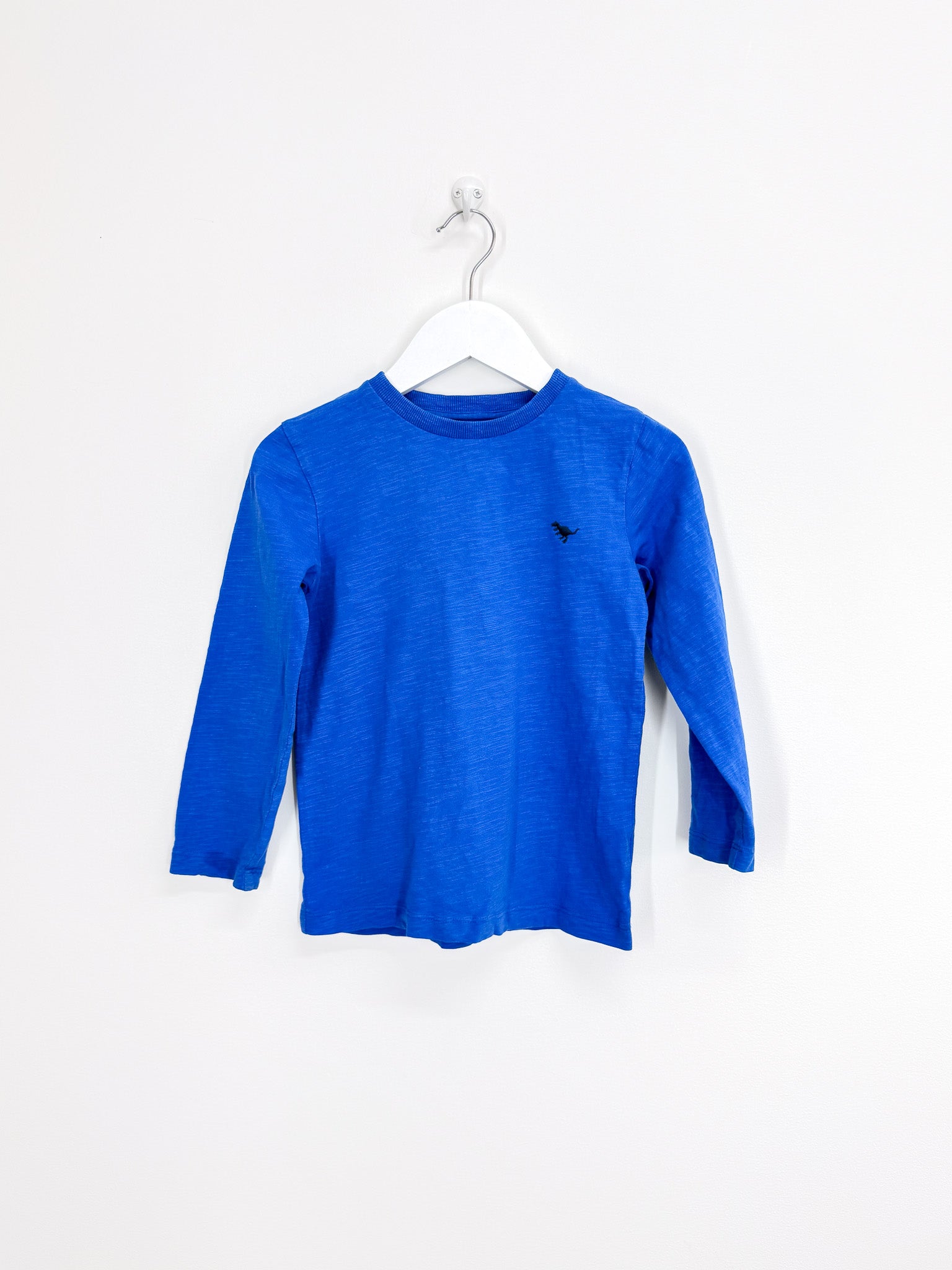 Next longs leeve dino tee (4-5y)