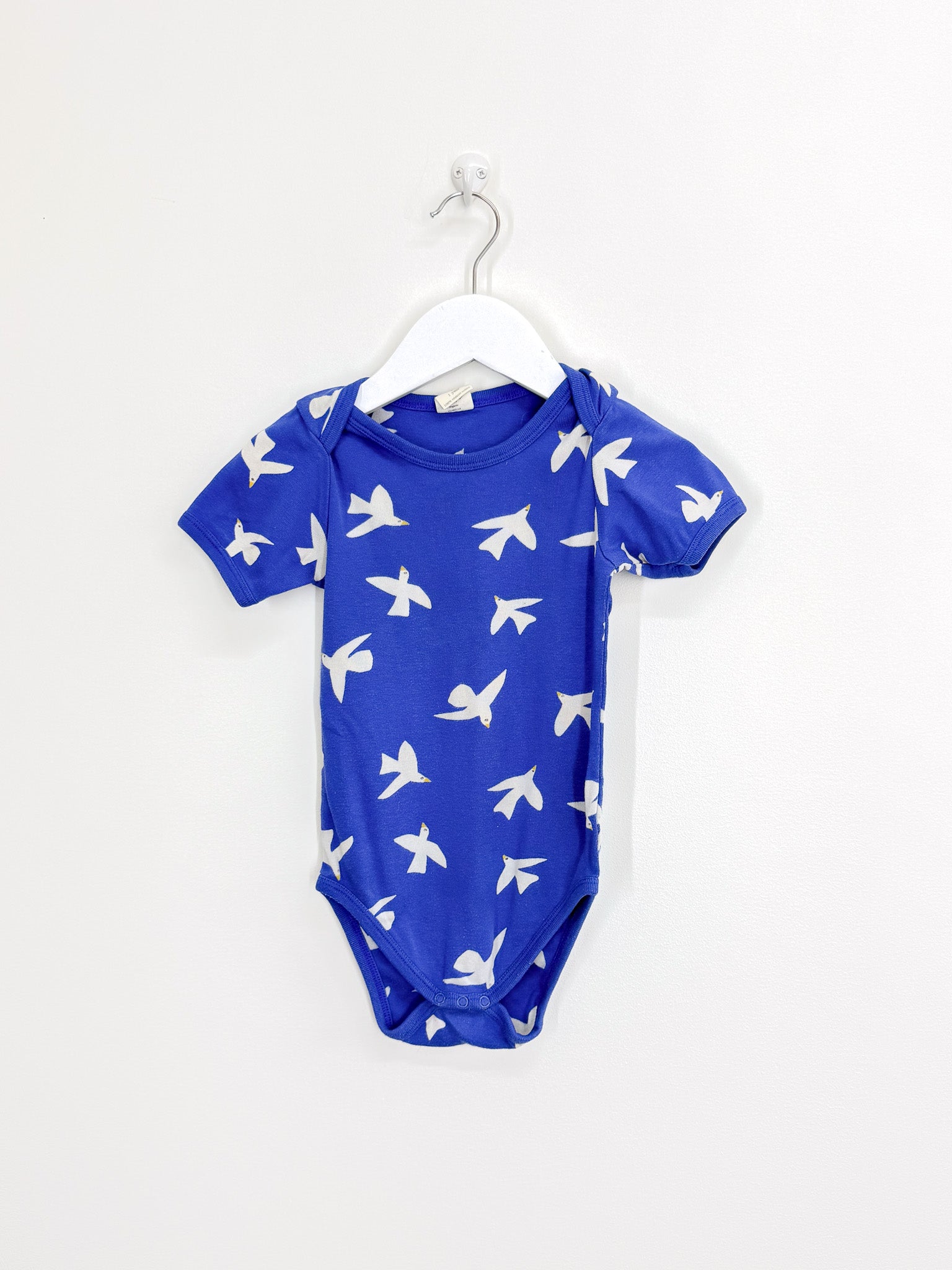Nature Baby organic short sleeve bodysuit (1y)