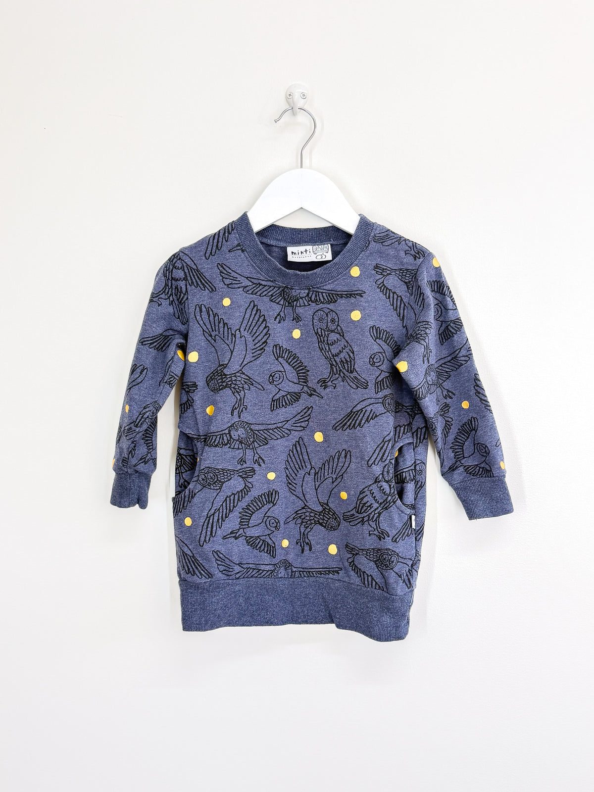 Minti owls furry dress (2y)