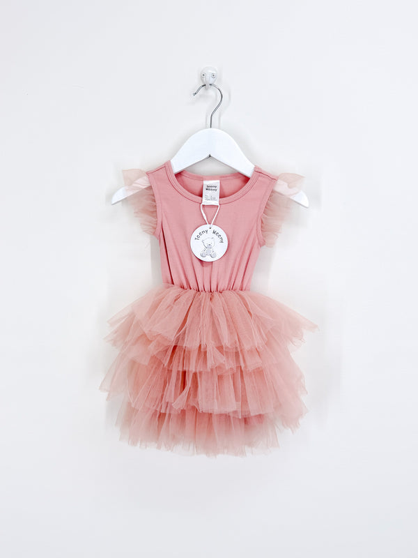 BNWT Teeny Weeny charlotte tulle dress (6-12m)