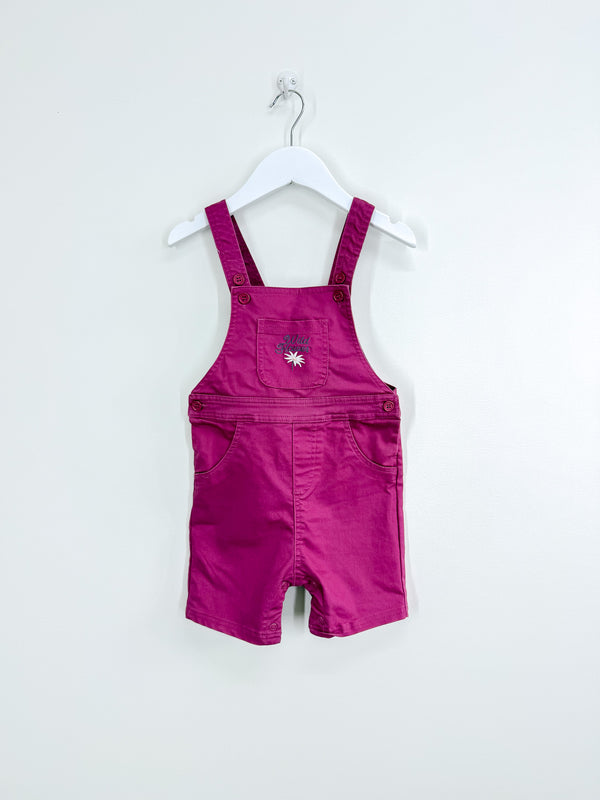 Teeny Weeny wild flower shortalls (18-24m)