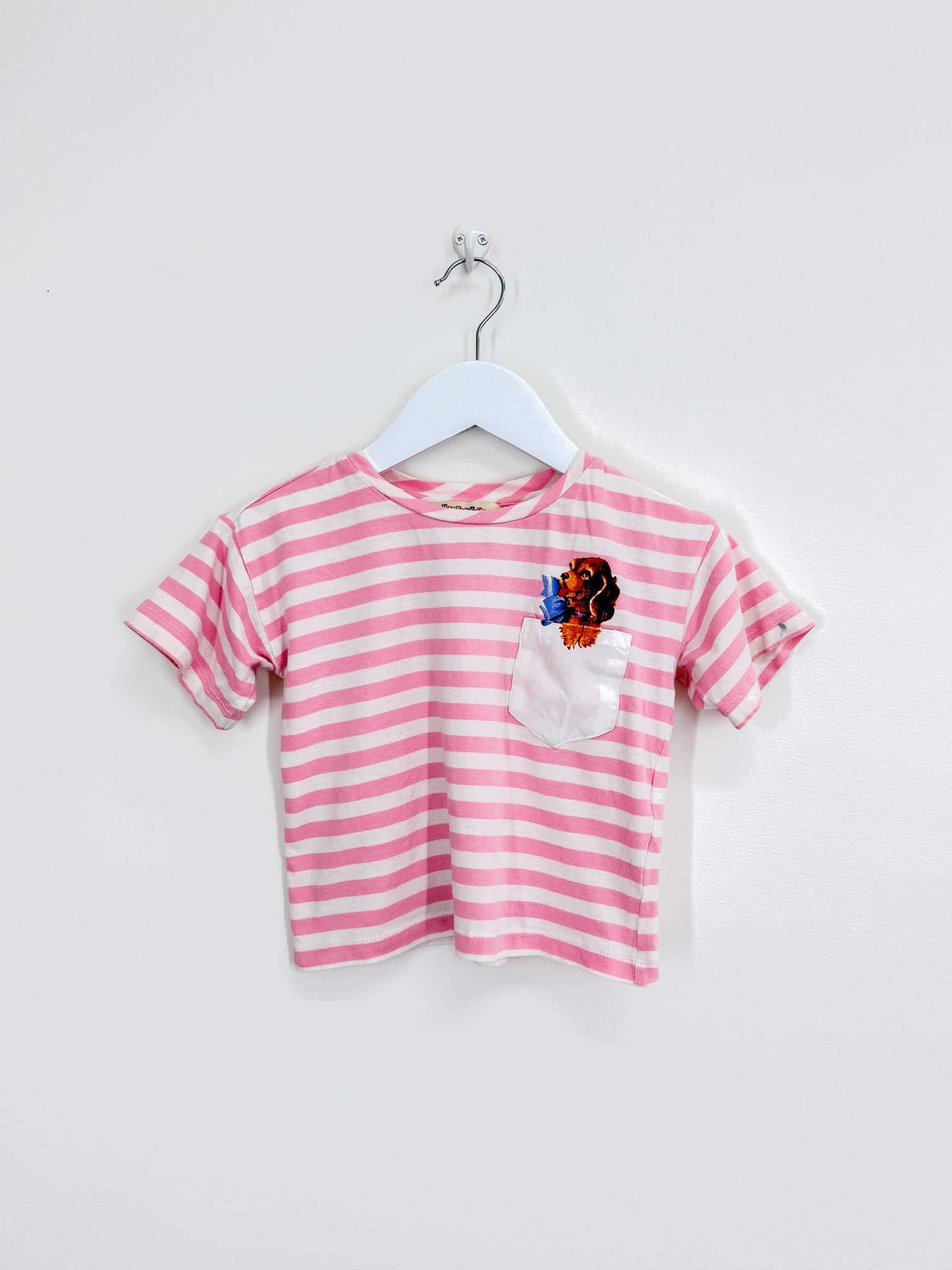 Dangerkids stripe puppy pocket tee (3y)