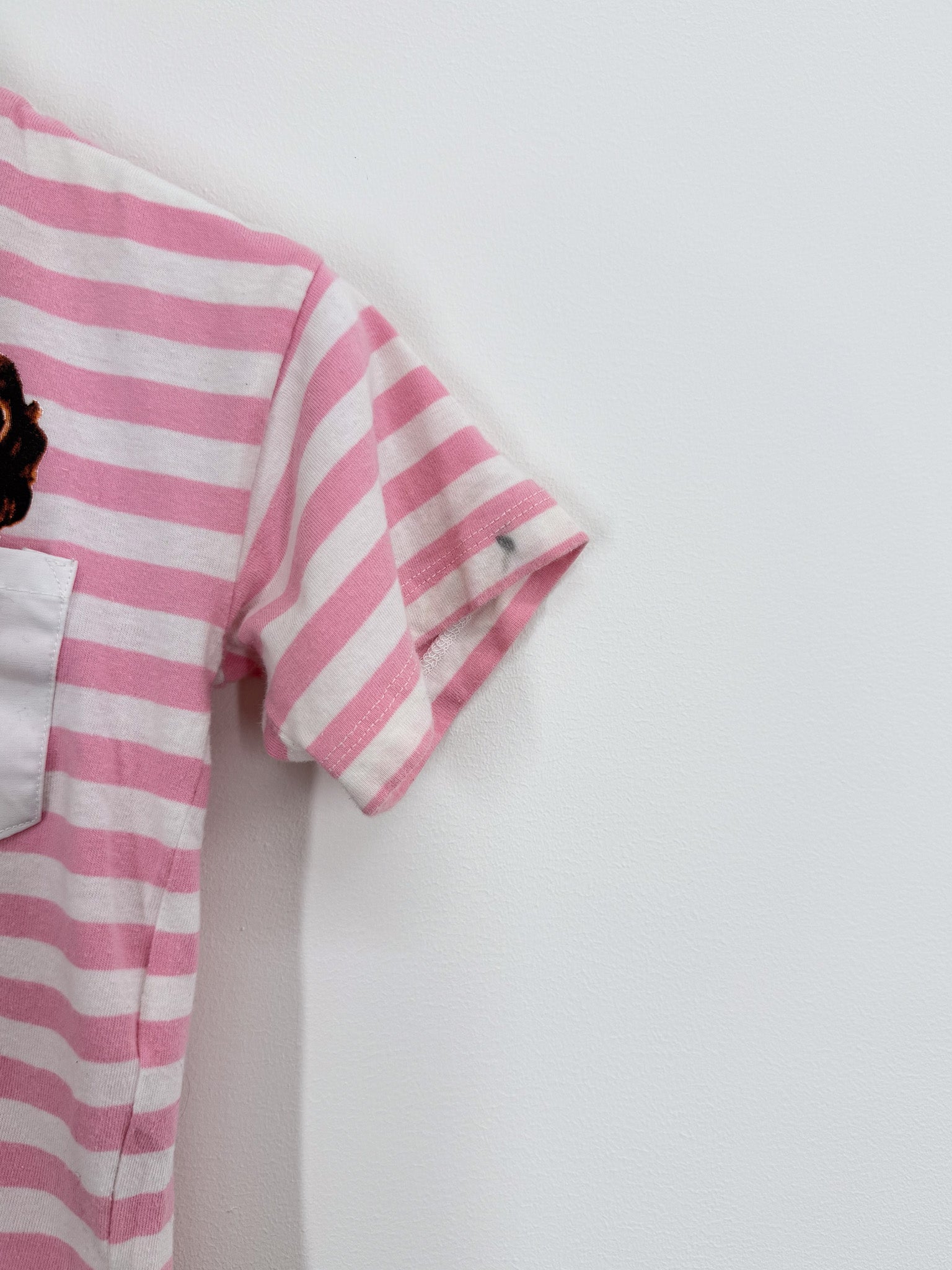 Dangerkids stripe puppy pocket tee (3y)