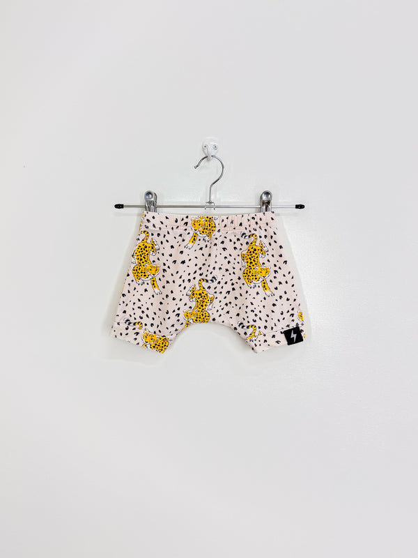 Kapow Kids cheetah shorts (6-12m)