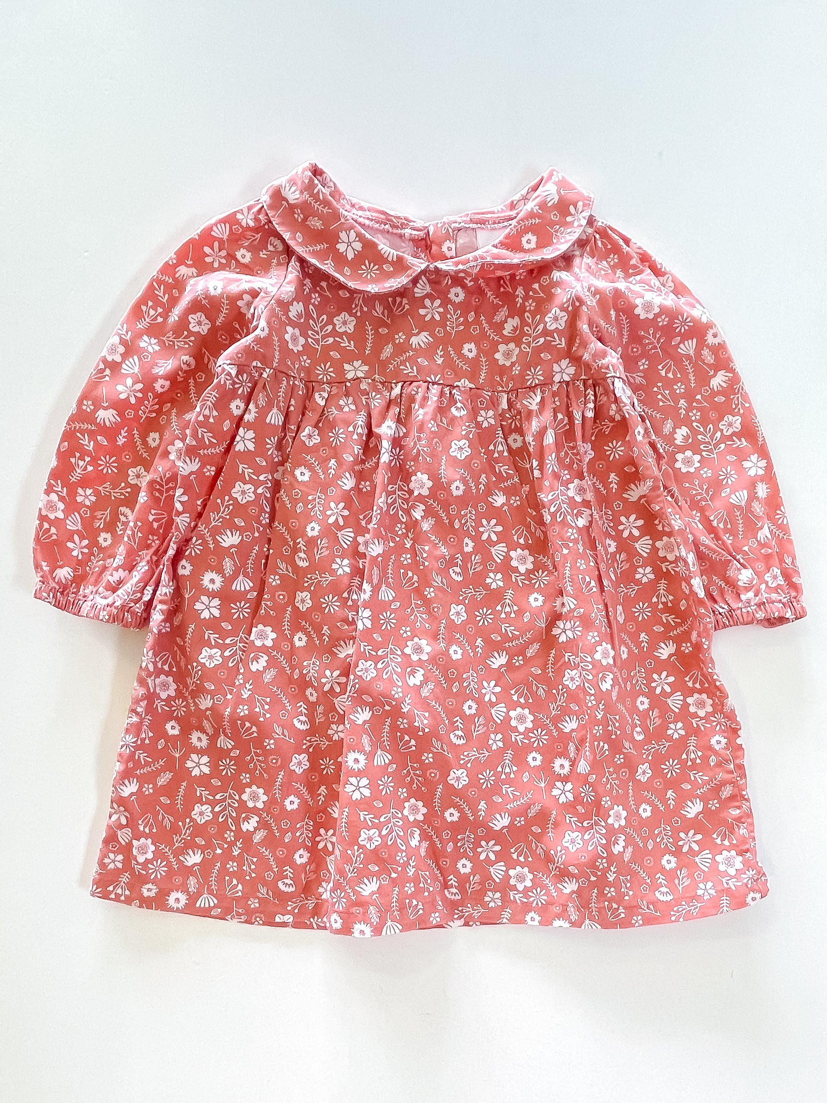 Teeny Weeny floral collared dress (12-18m)