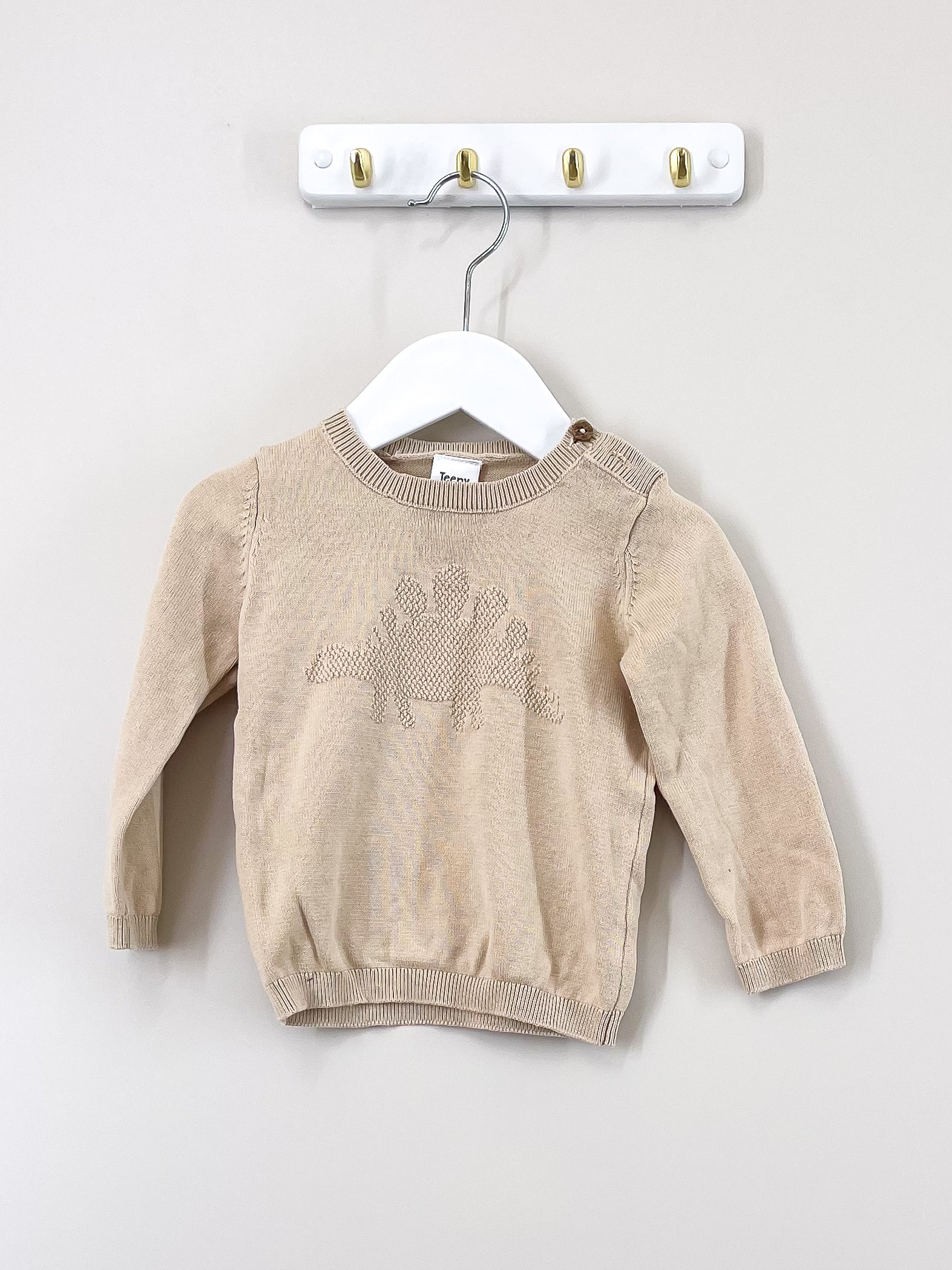 Teeny Weeny dino cotton knit (12-18m)