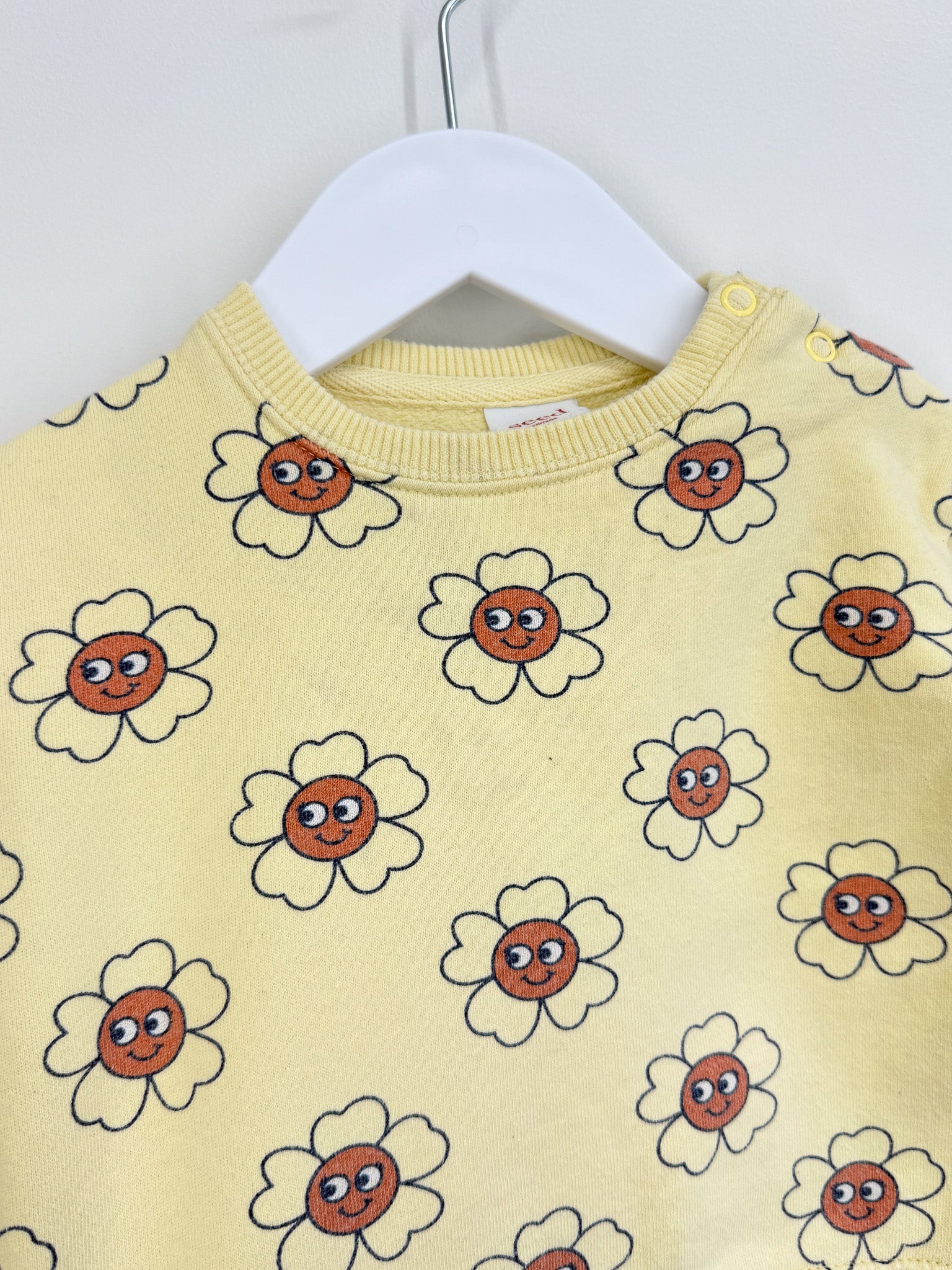 Seed daisy fleece pullover (3-6m)