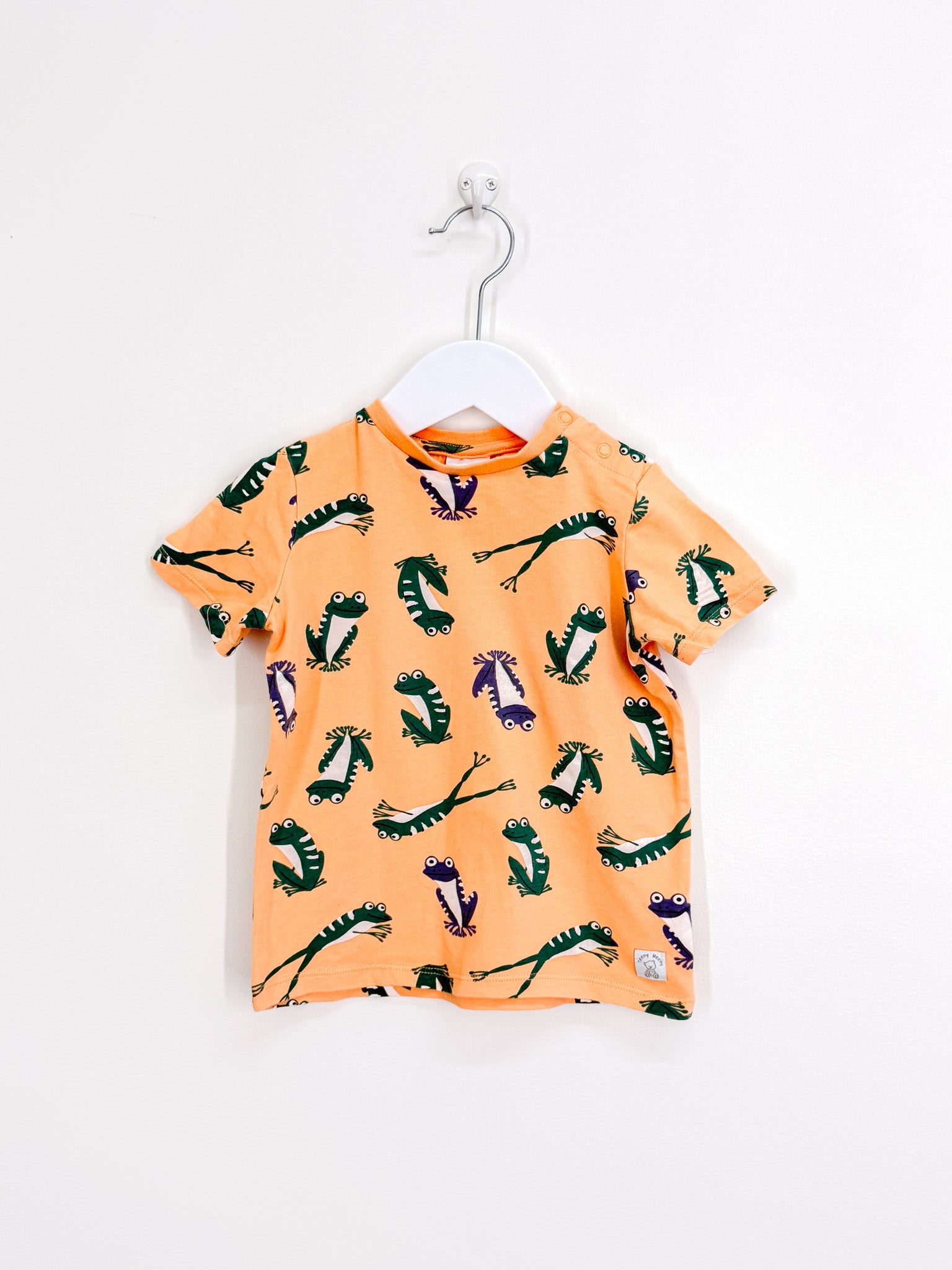 Teeny Weeny frogs tee (18-24m)