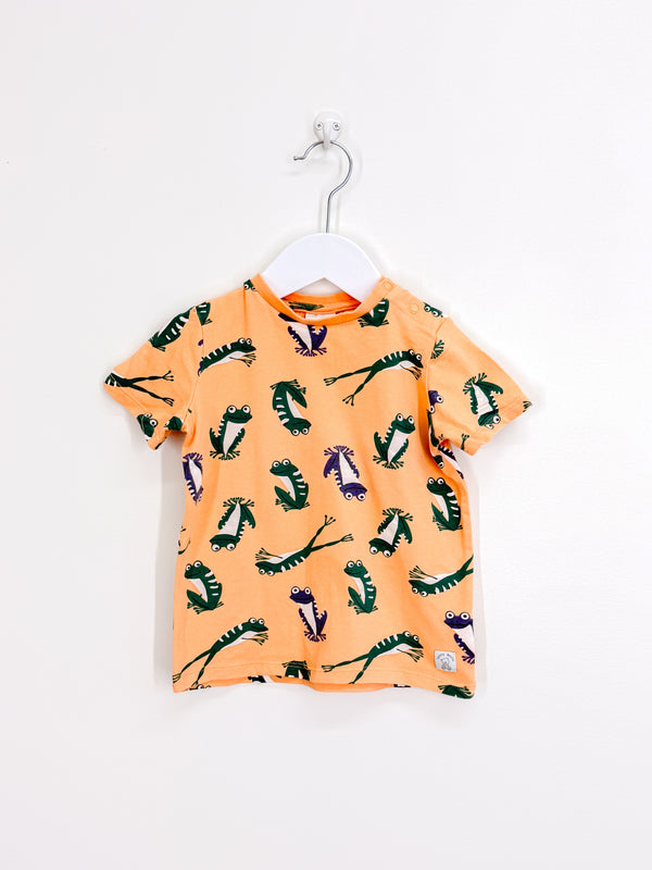 Teeny Weeny frogs tee (18-24m)