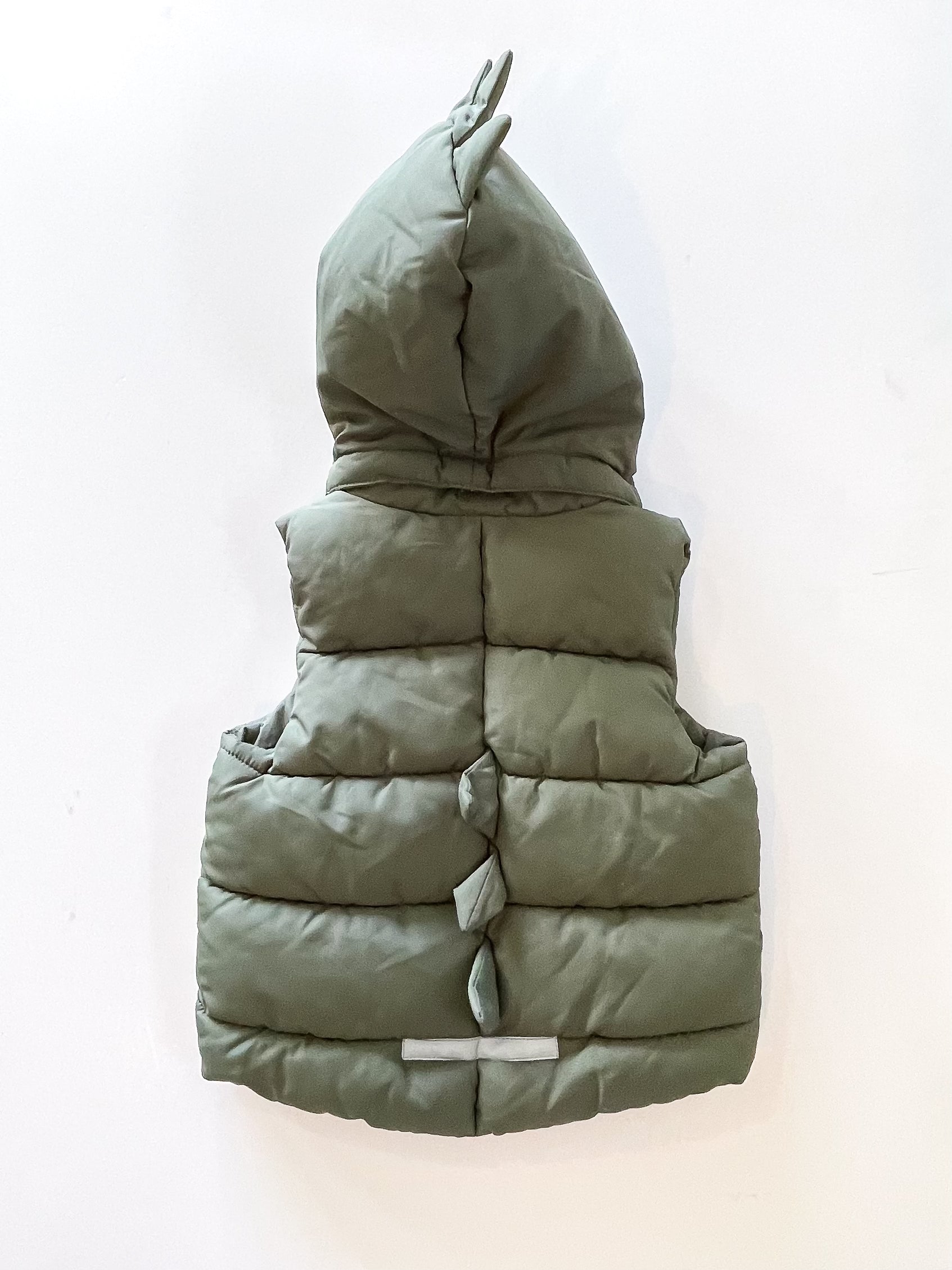 H&M hooded dino best jacket (9-12m)