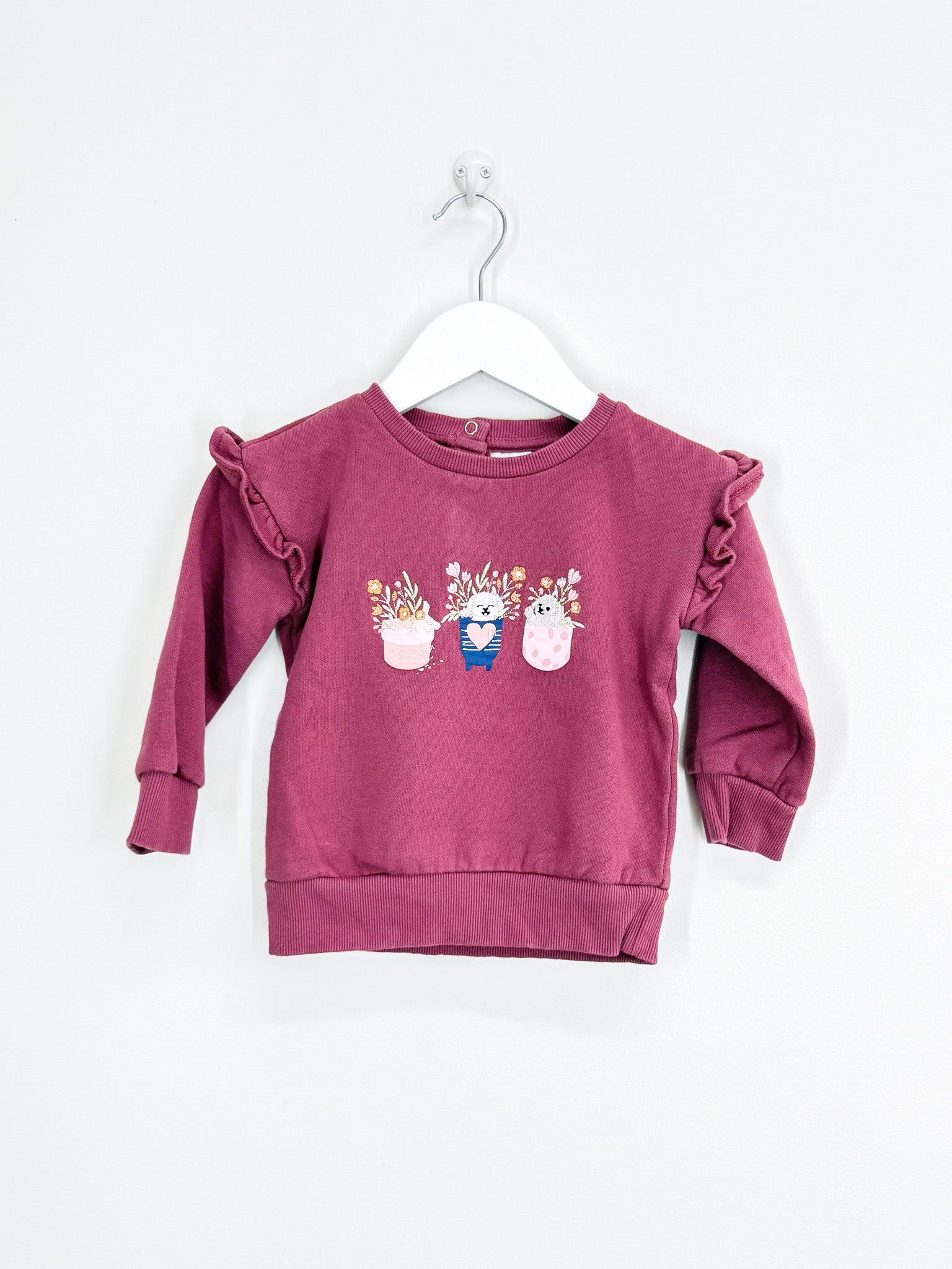 Teeny Weeny puppy pot plants frill sweatshirt (18-24m)