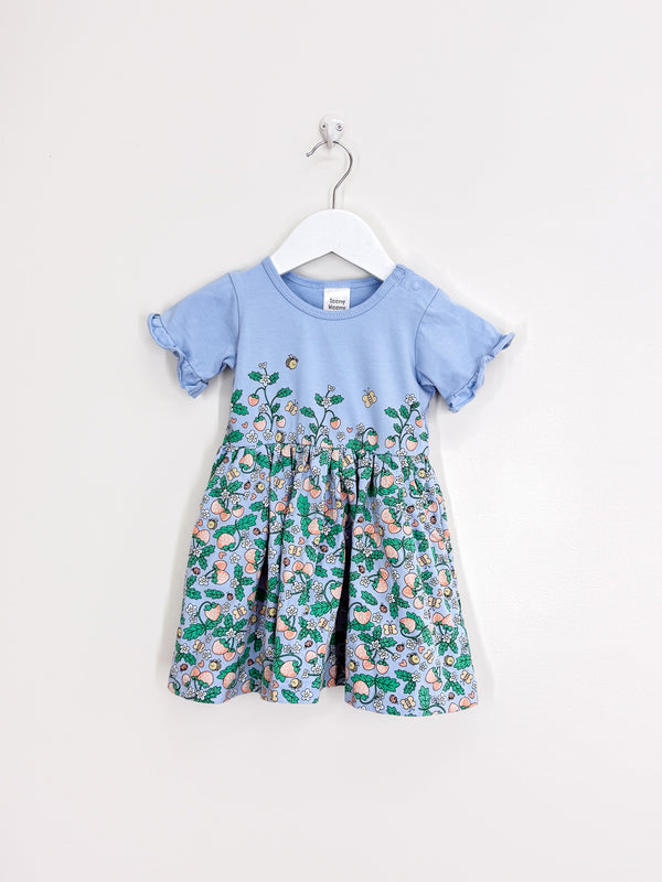 Teeny Weeny strawberry butterfly dress (12-18m)
