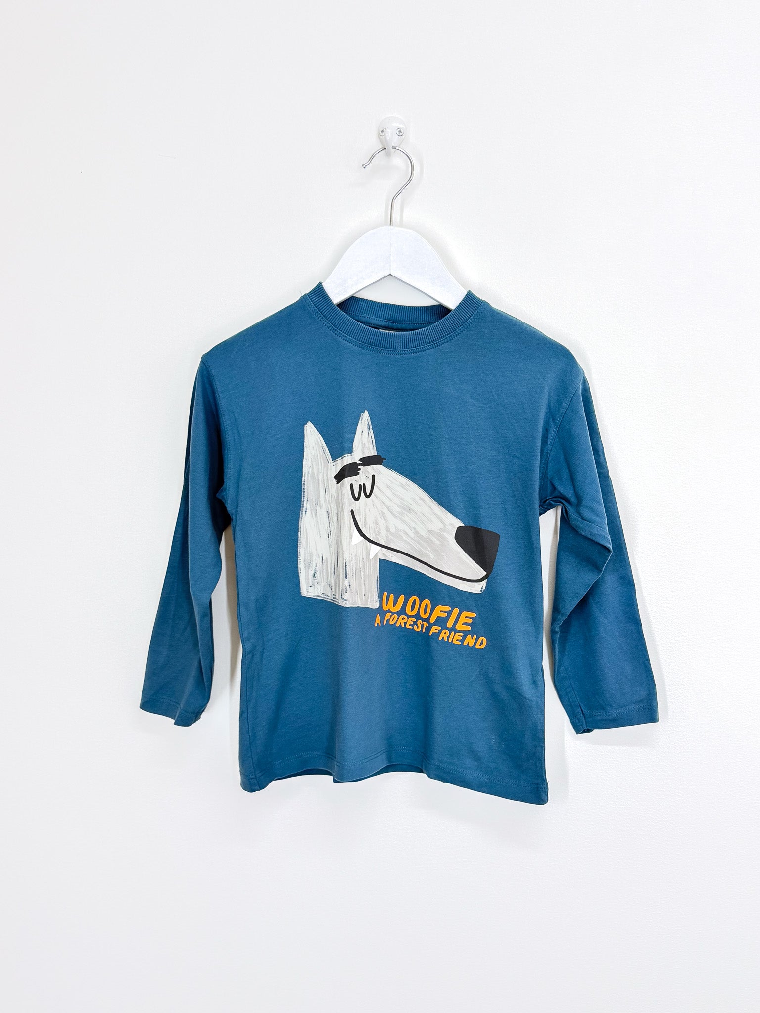 Zara woofie long sleeve tee (5y)