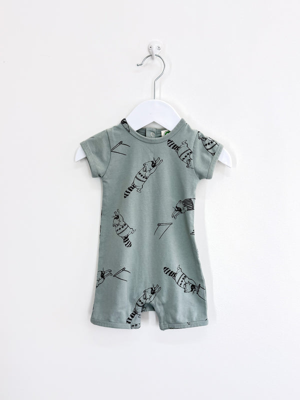 Nature Baby organic quincy romper - raccoon rhapsody (0-3m)