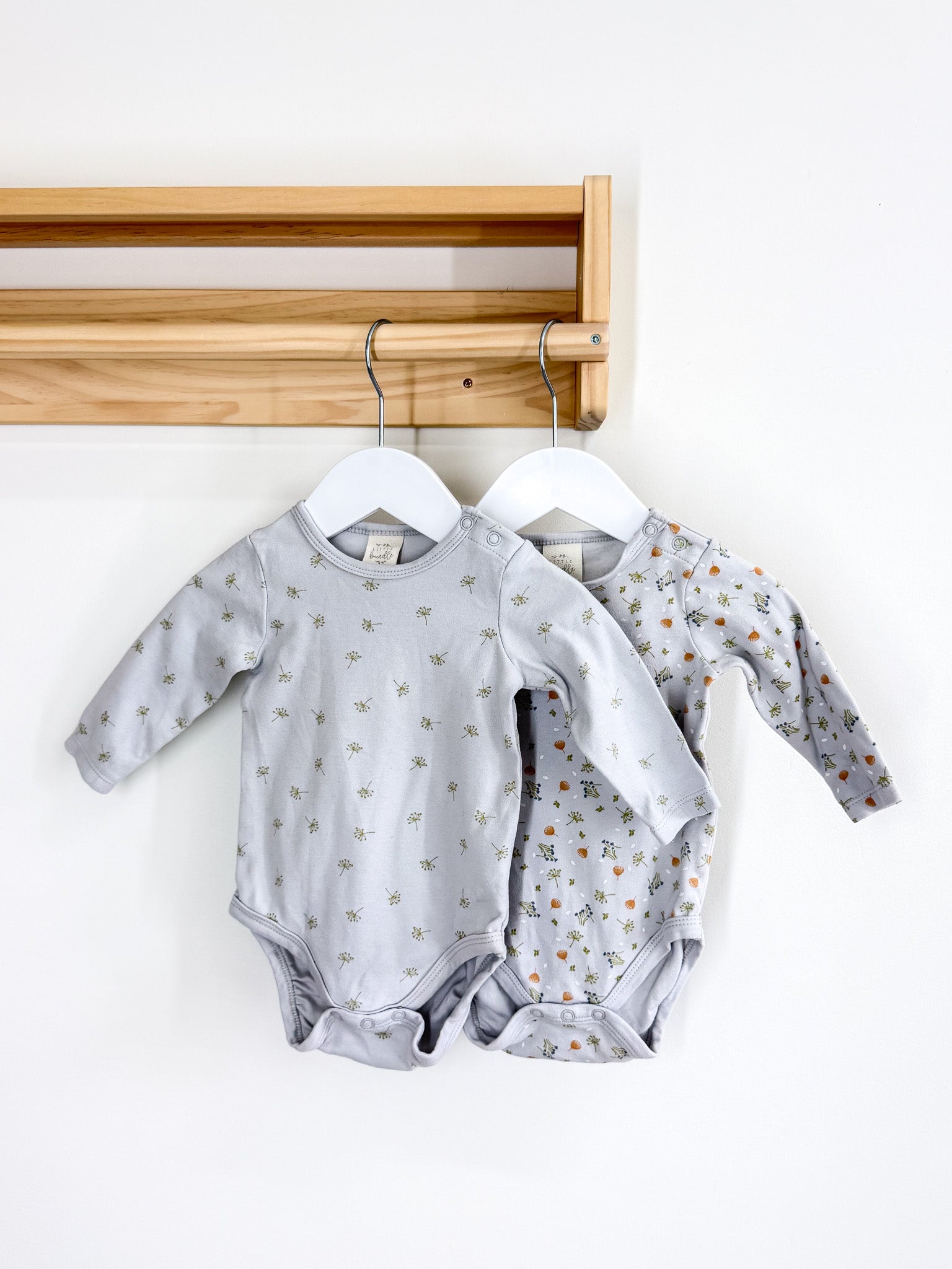 Little Bundle 2 pack bodysuit bundle (3-6m)