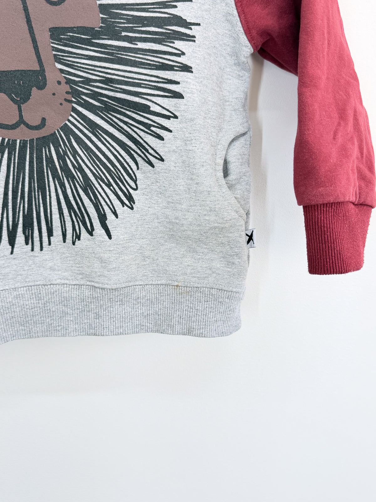 Minti wild lion furry hoodie (4y)