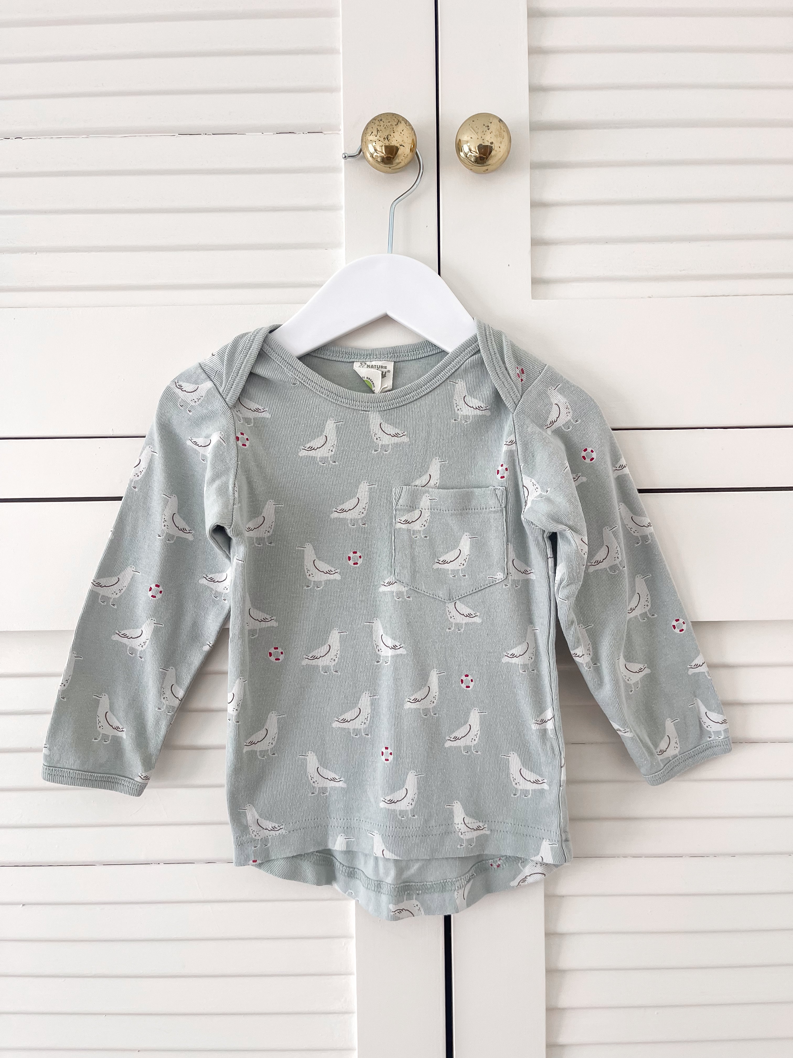 Nature Baby organic long sleeve tee - gulls (2y)