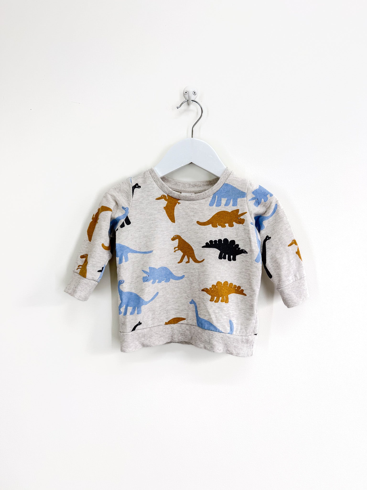 Seed dino sweatshirt (6-12m)