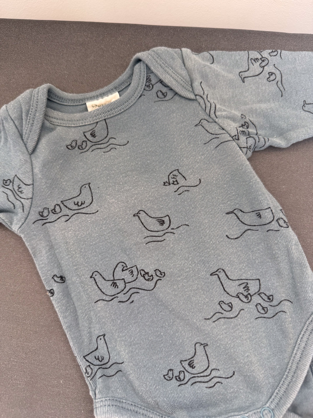 Nature Baby organic long sleeve bodysuit - duck pond (newborn)