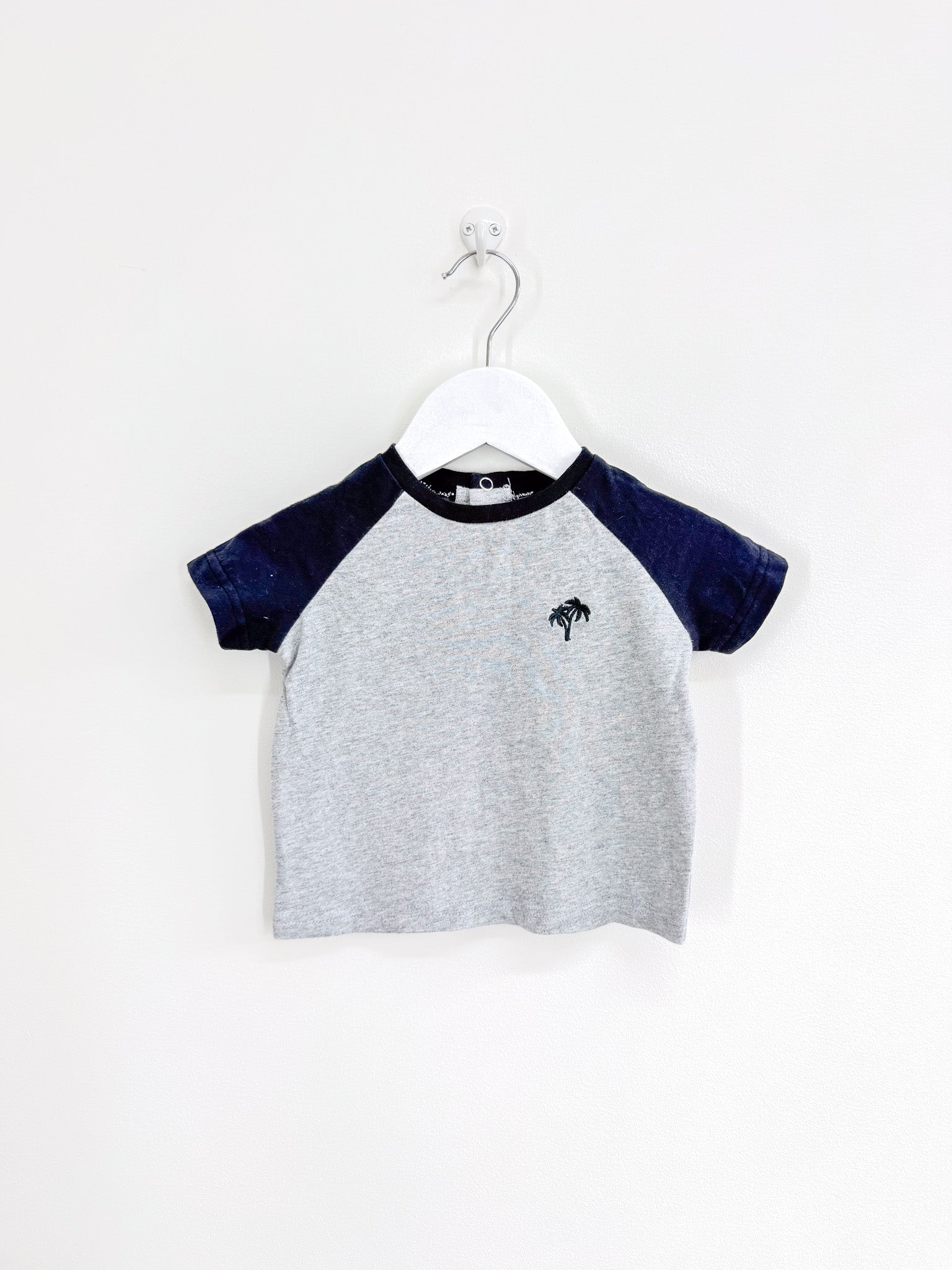 Teeny Weeny raglan palm tee (3-6m)