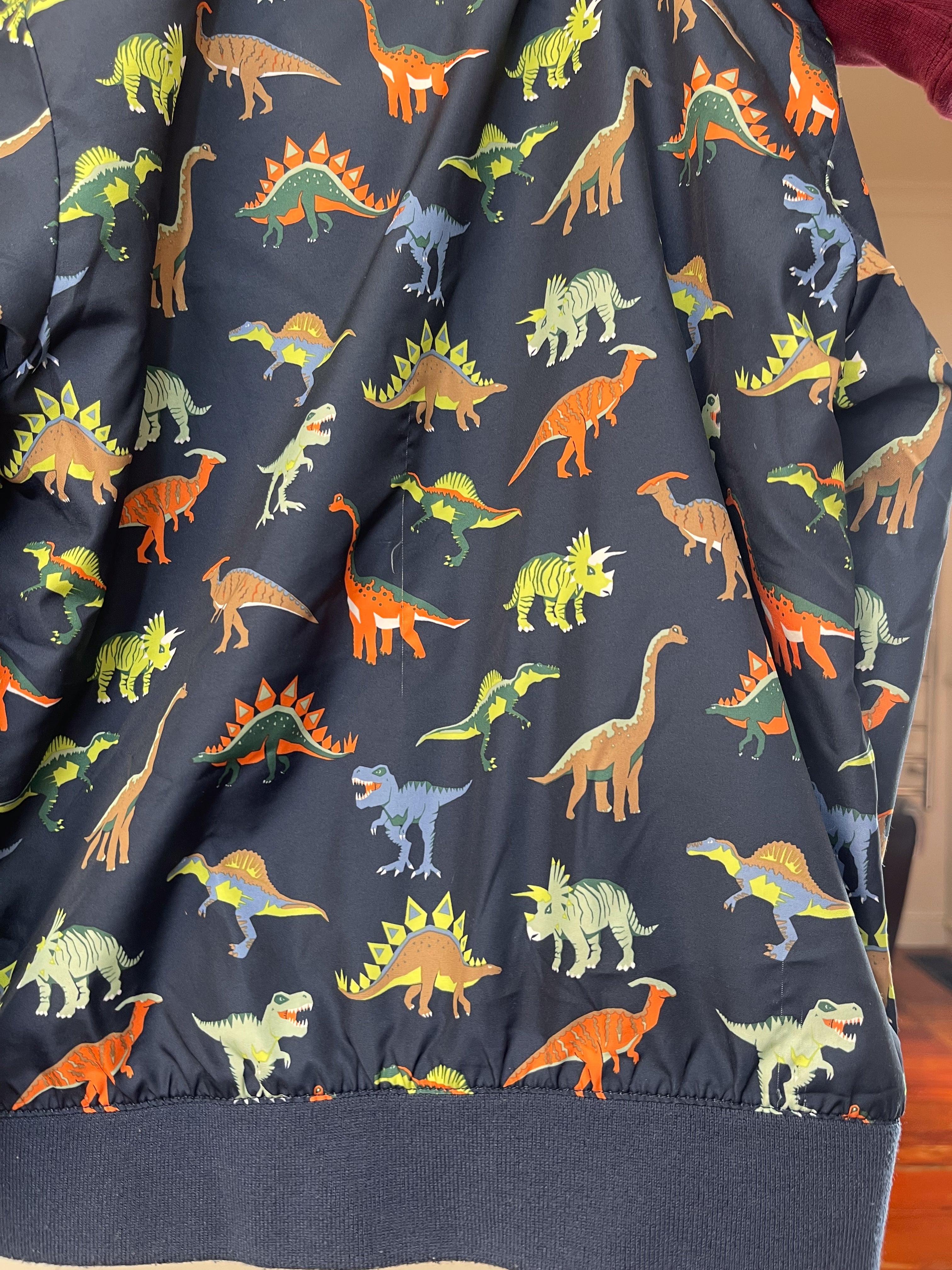 H&M dino lined windbreaker (7-8y)