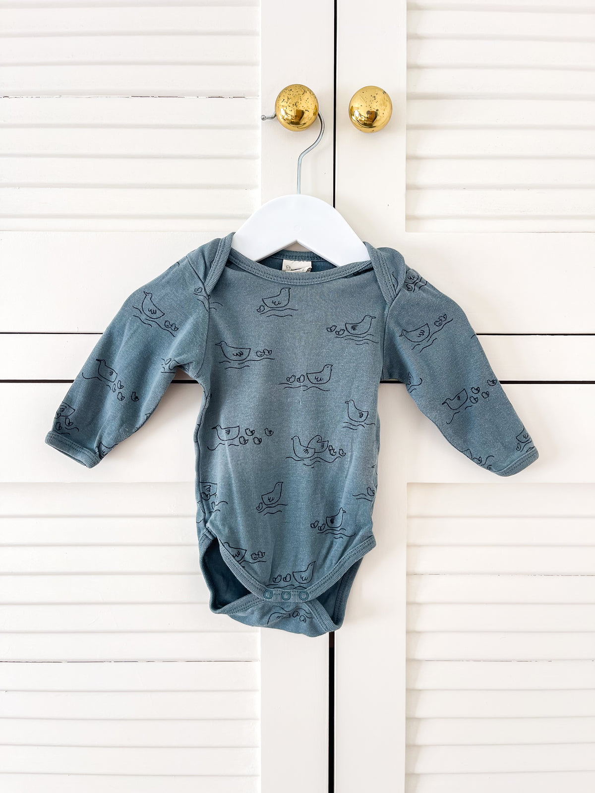 Nature Baby organic long sleeve bodysuit - duck pond (newborn)